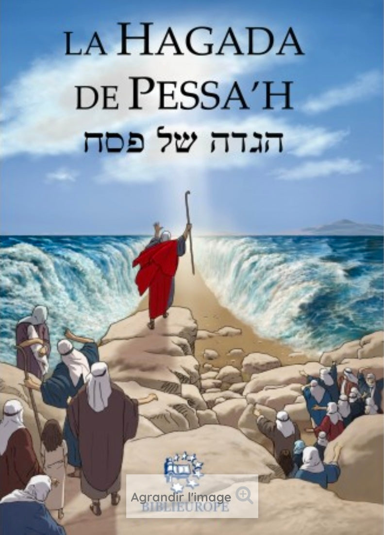 Hagada de Pessa'h Hébreu français Phonétique grosse lettre illustrée en couleur