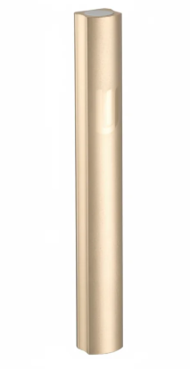 Boitier de mezouza en aluminium doré de 12cm avec Shin discret