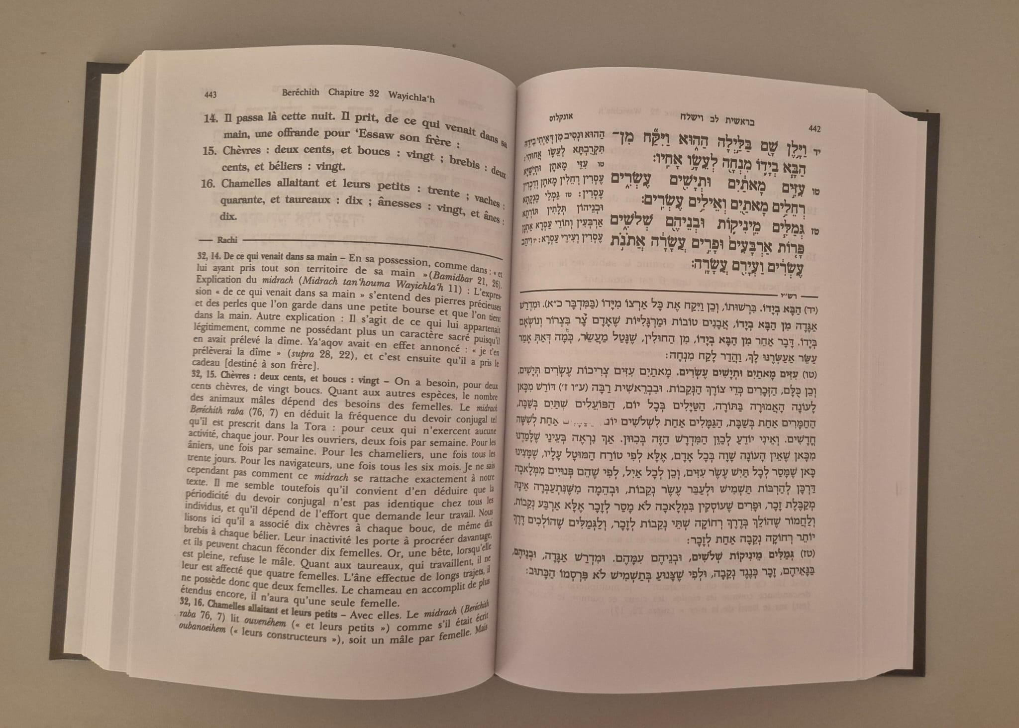 Le commentaire du pentateuque du rav S. R. Hirsch sur Chemot
