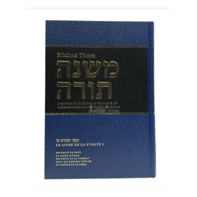 Michné Torah Vol 11