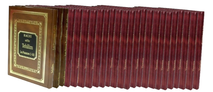 LES PROPHETES + LES HAGIOGRAPHES (24 Livres) avec Rachi traduit