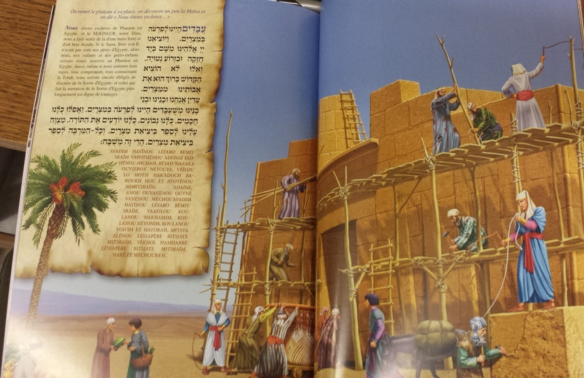 Haggadah de Pessah grand modèle illustrée