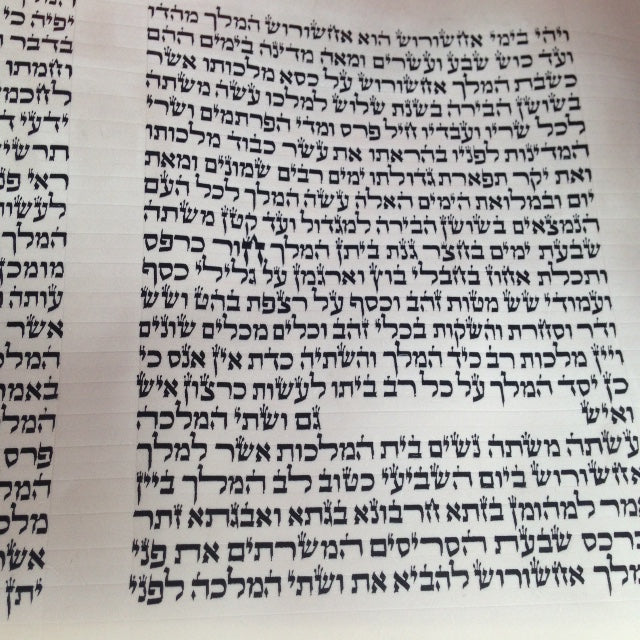 Meguila rouleau d'esther avec son étui