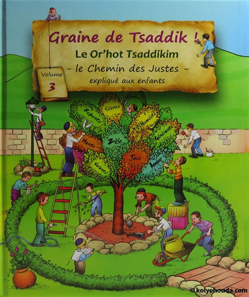 Graine de Tsaddik vol 3