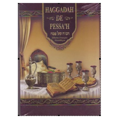 Hagada hébreu français phonétique illustrée grand format couverture souple