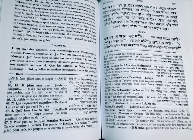 PSAUMES - Téhilim avec Rachi traduit relié similicuir .