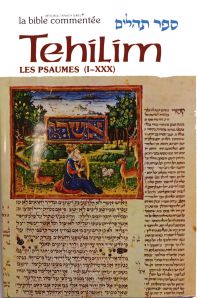 Tehilim / Psaumes Tome II (XXXI à LV de 31 à 55) avec une grande richesse de commentaires