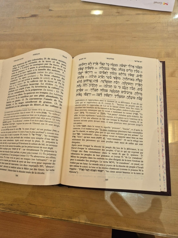 Tehilim de la délivrance hébreu français commentés par le Meiri