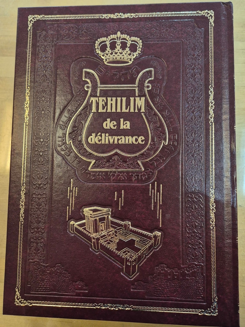 Tehilim de la délivrance hébreu français commentés par le Meiri