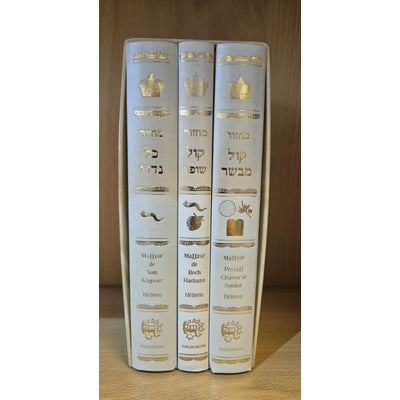 Coffret de 3 livres sur les 5 fêtes de l'année tout hébreu